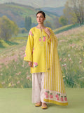Yellow Daisy